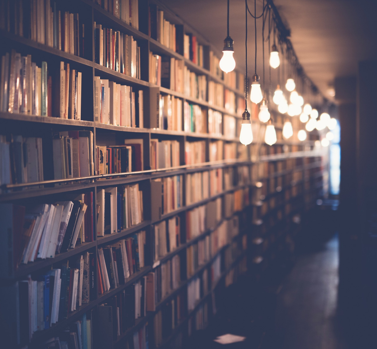 auxiliar biblioteca 