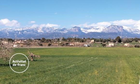 Cicle de Conferències "La UOM arreu de Mallorca"