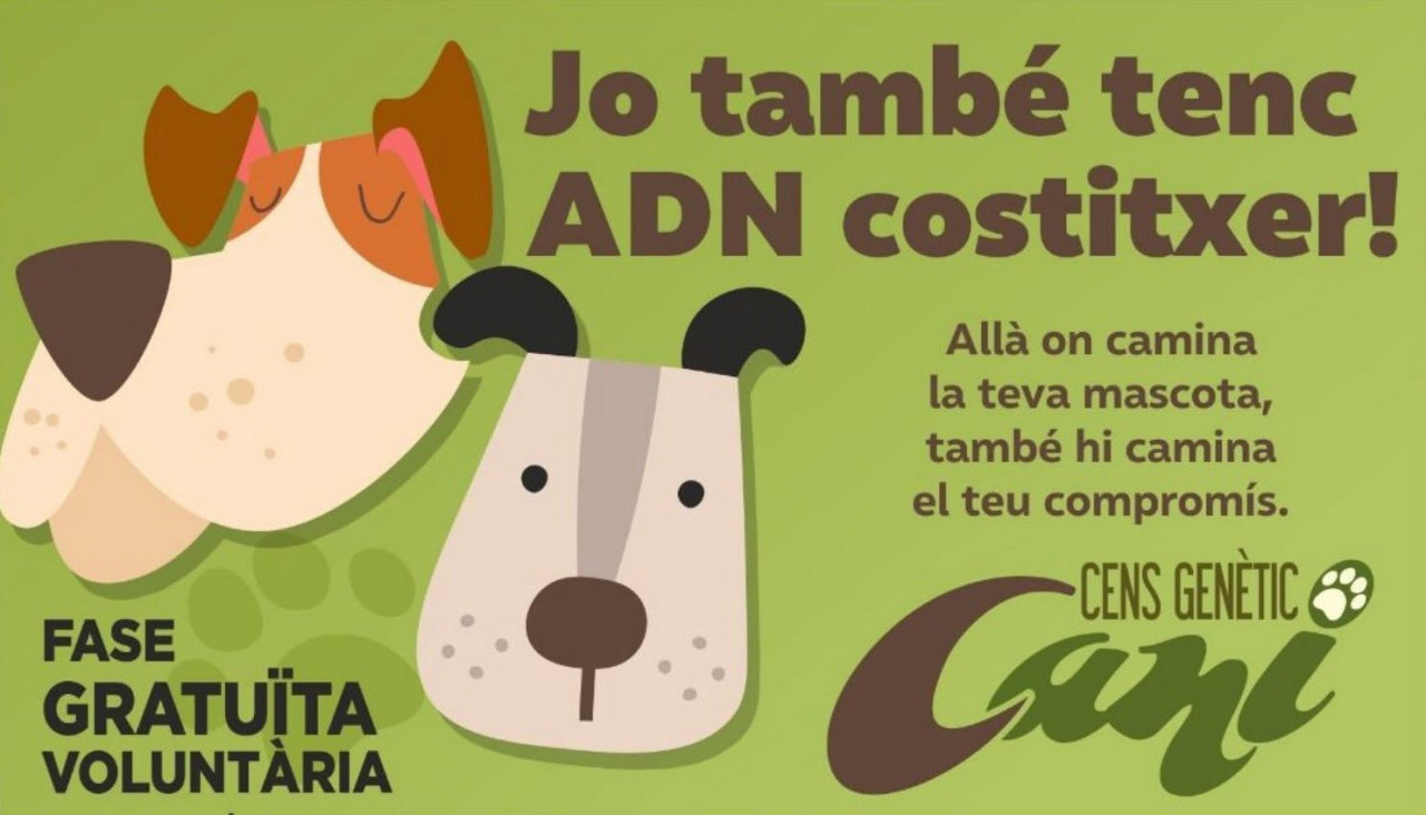adn costitxer