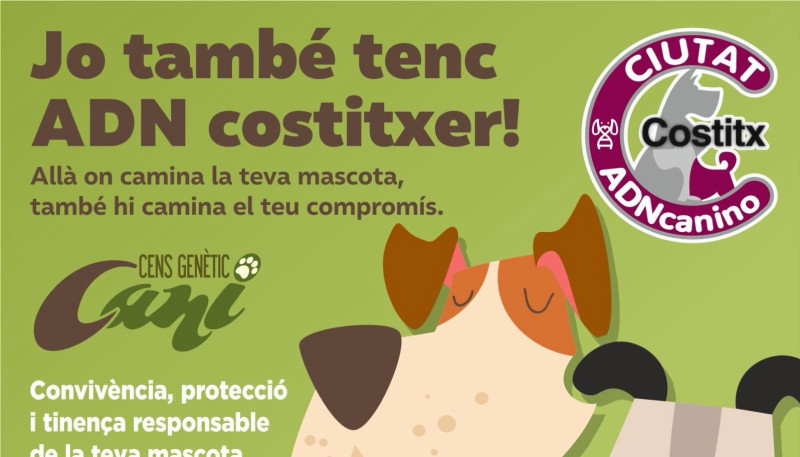 costitx